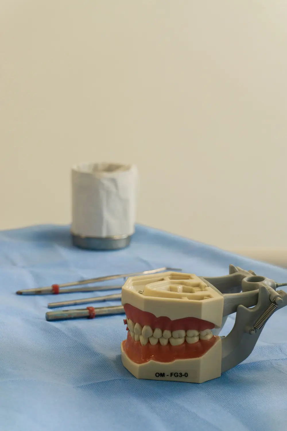 Modelo dental de estudio junto a instrumental